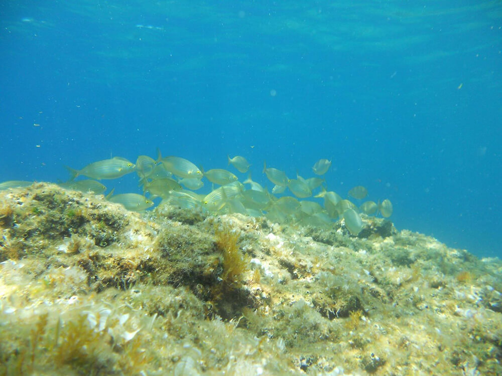 Cava Grado Sant'angelo snorkeling