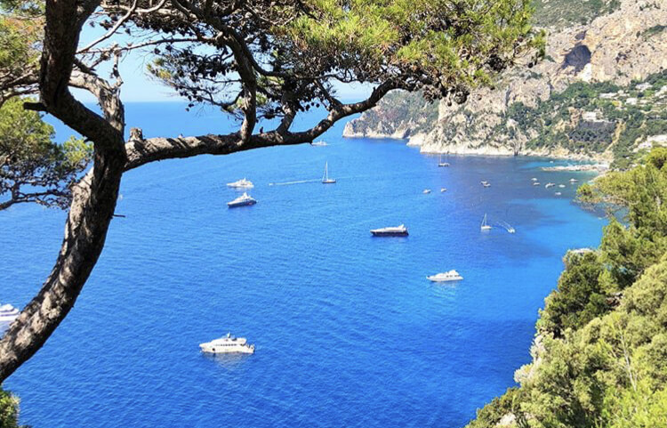 ischia_bay_charter